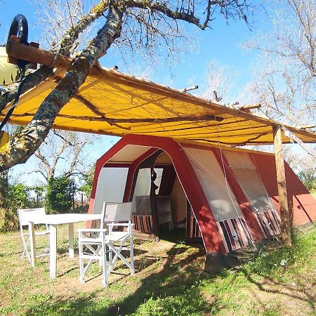 库特罗菲安诺 Camping Terreno-Ro-Bi-Li酒店 外观 照片