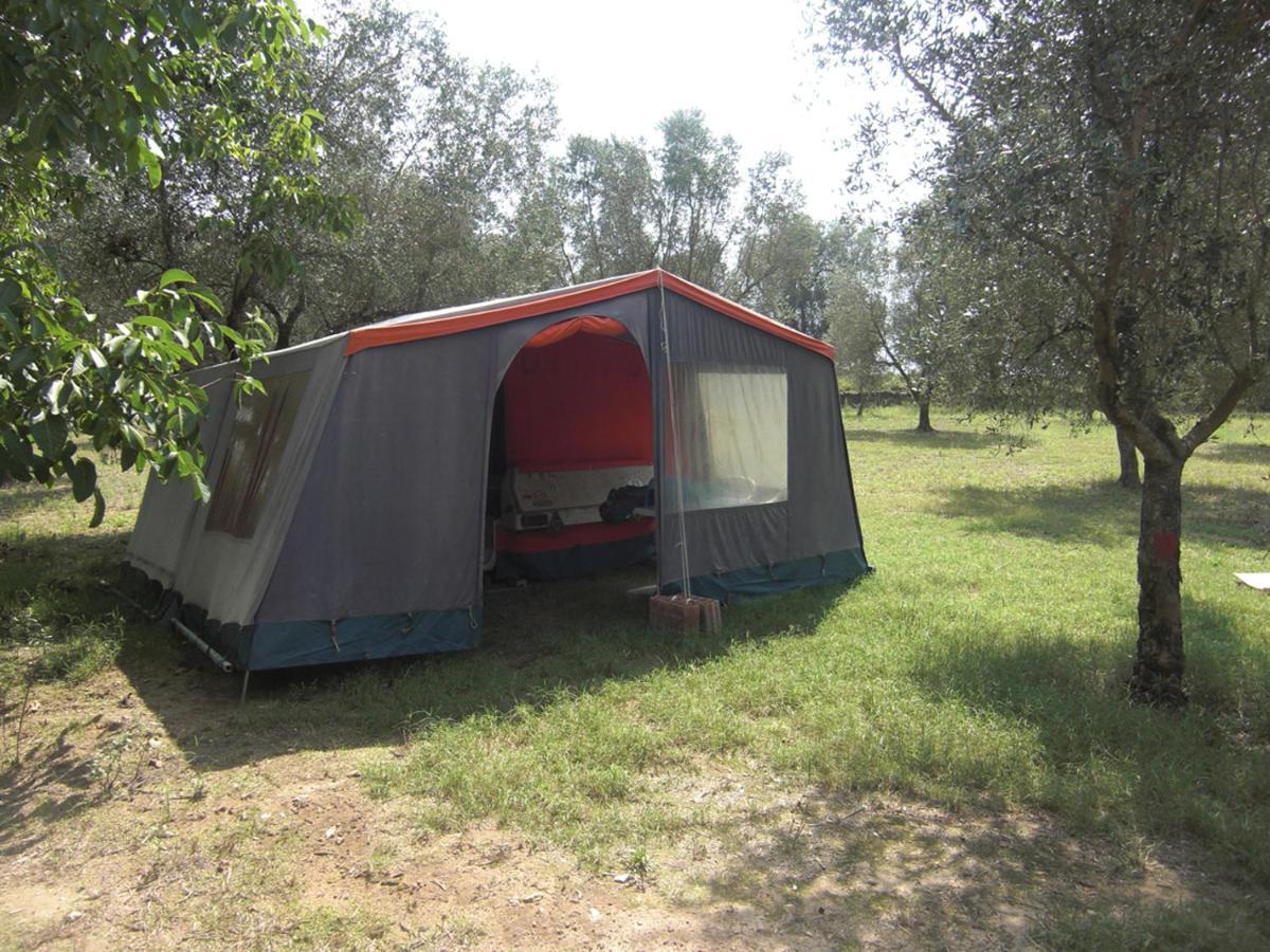 库特罗菲安诺 Camping Terreno-Ro-Bi-Li酒店 外观 照片