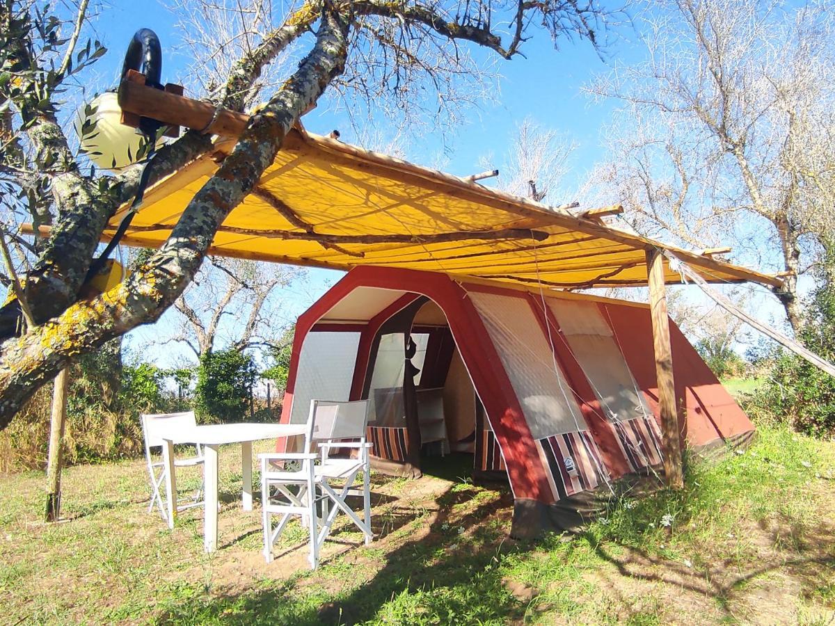 库特罗菲安诺 Camping Terreno-Ro-Bi-Li酒店 外观 照片