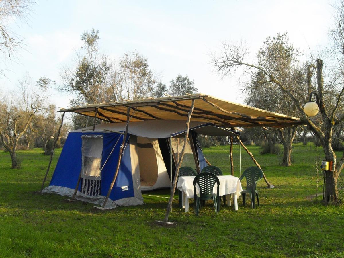 库特罗菲安诺 Camping Terreno-Ro-Bi-Li酒店 外观 照片