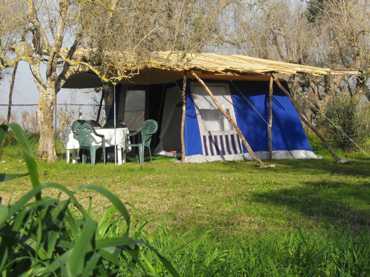 库特罗菲安诺 Camping Terreno-Ro-Bi-Li酒店 外观 照片