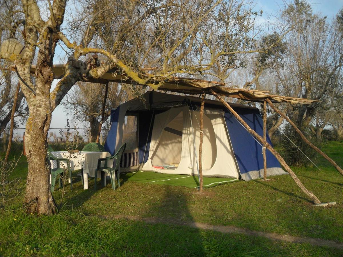 库特罗菲安诺 Camping Terreno-Ro-Bi-Li酒店 外观 照片