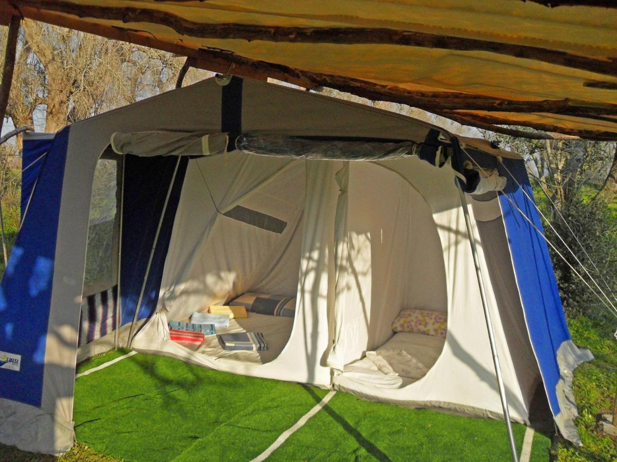 库特罗菲安诺 Camping Terreno-Ro-Bi-Li酒店 外观 照片